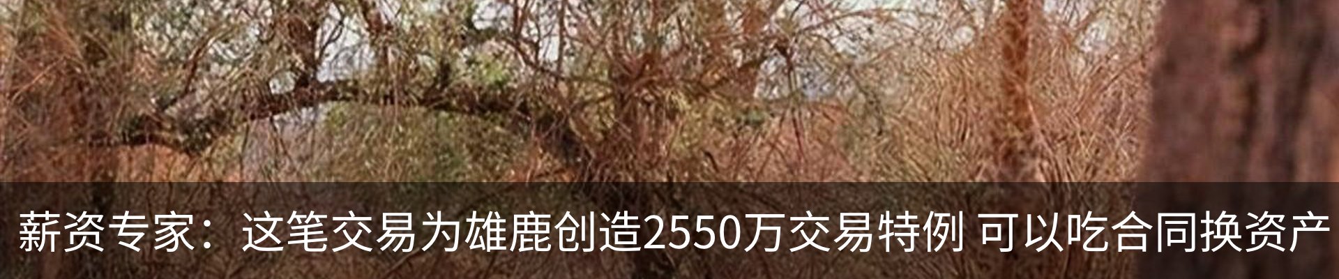新闻中心